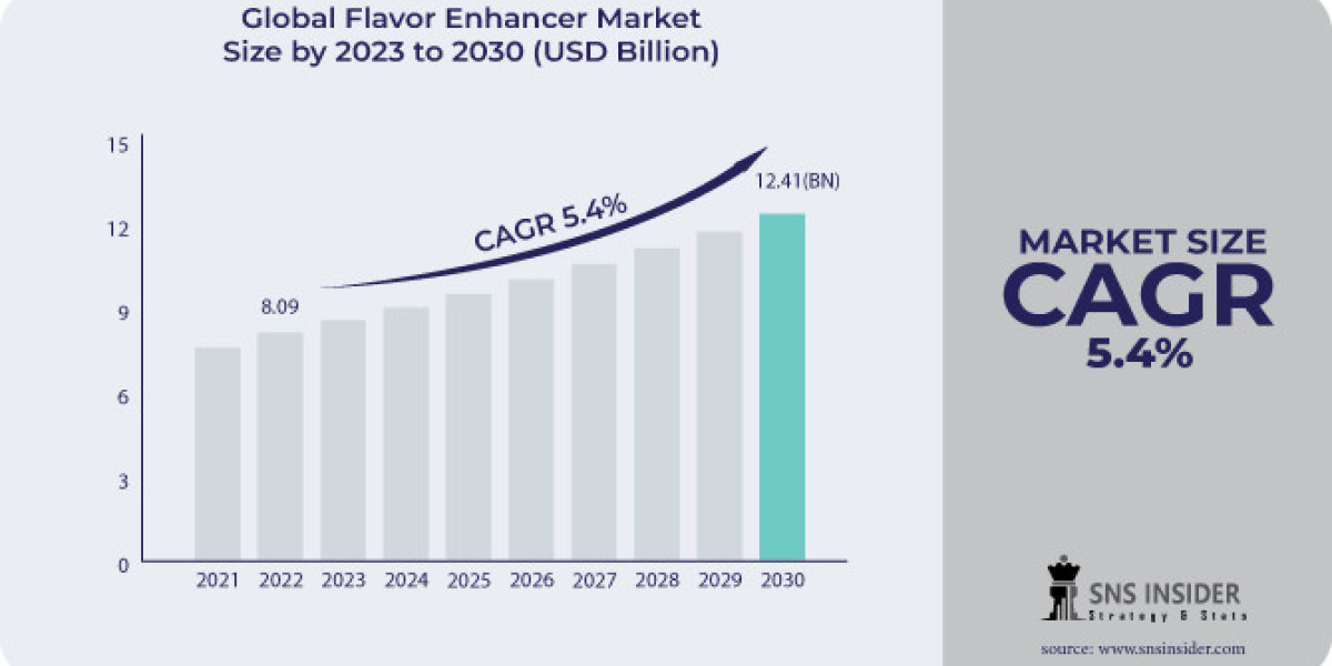 Flavor Enhancer Market Industry Report, Global Analysis and Growth 2031