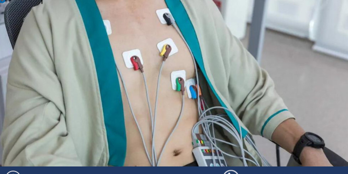 Cardiac Holter Monitor Market Size, Share, Growth, Report 2024-2032