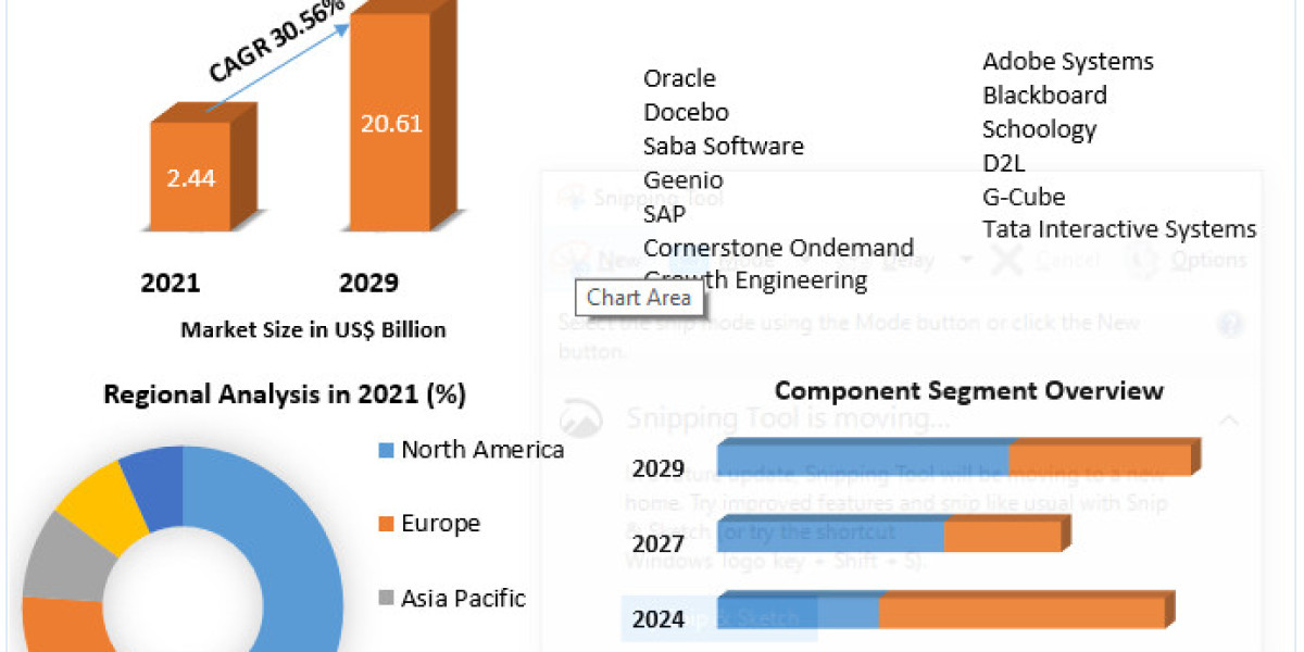 Digital Learning Landscape: Anticipating Developments in Corporate LMS Market 2023-2029