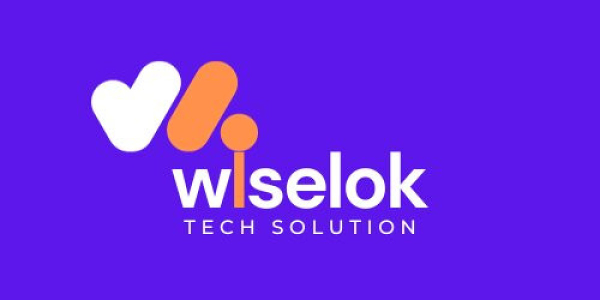 Web Development Company In Jaipur - Wiselok Tech Solution