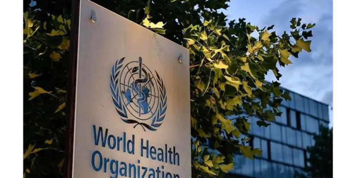 WHO Warns of Rising Hepatitis Deaths: Urgent Action Needed to Combat Global Threat