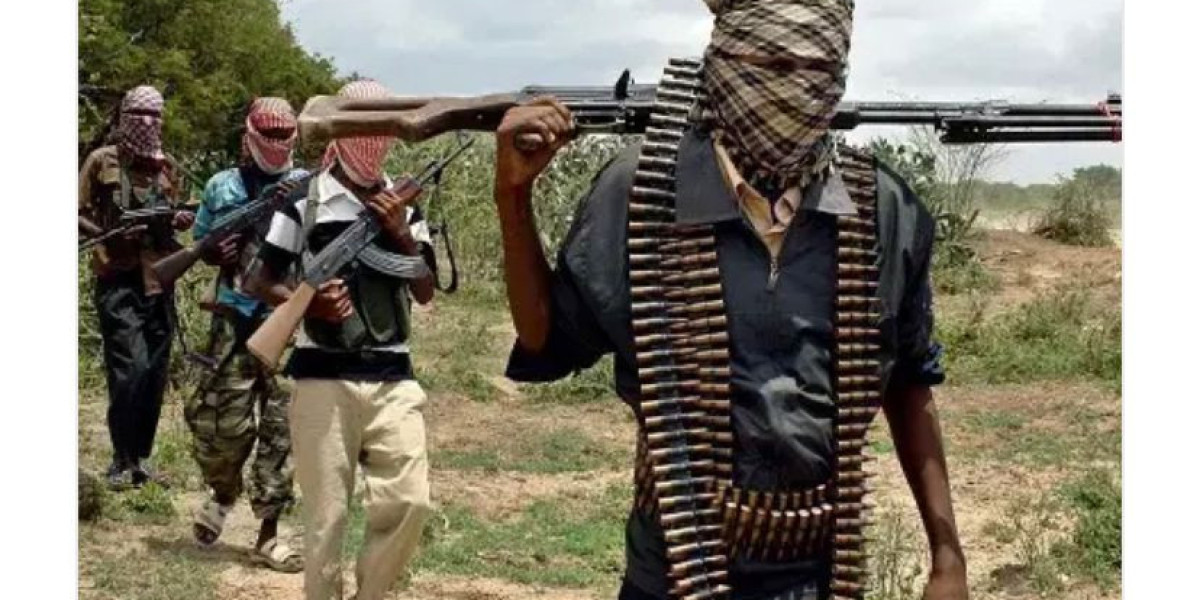 Escalating Kidnappings: Insecurity Grips Nigeria's States