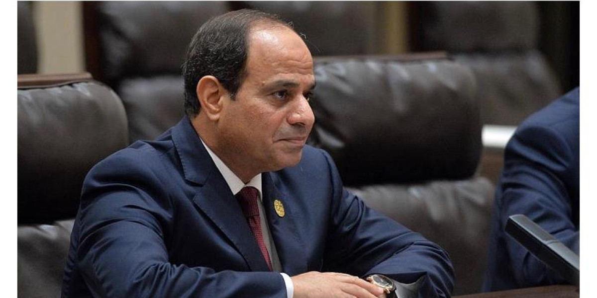 Abdel Fattah al-Sisi's Third Term: Challenges and Economic Prospects