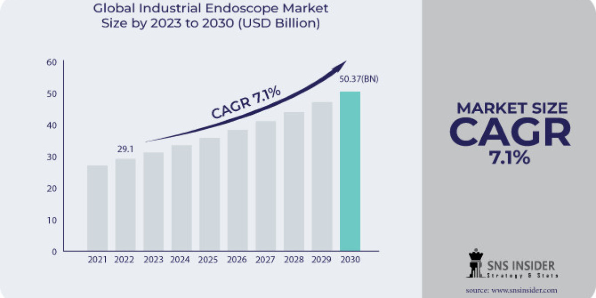 Industrial Endoscope Market Size, Trends, Revenue, and Demand
