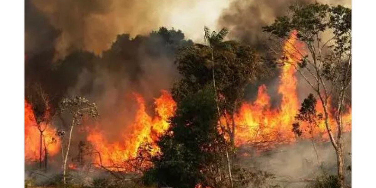 Health Concerns Rise as Bush Burning Pollutes Bayelsa State: Residents Call for Government Action