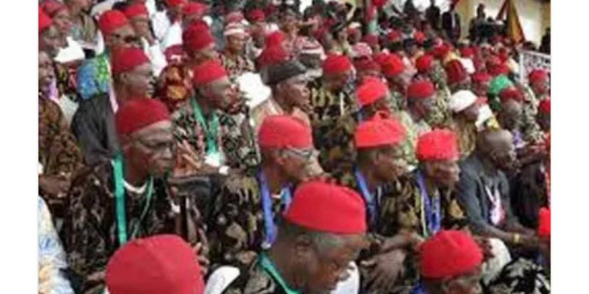ADF Calls for Investment in Igbo Land to Stem Youth Migration: Promoting Development and Empowerment