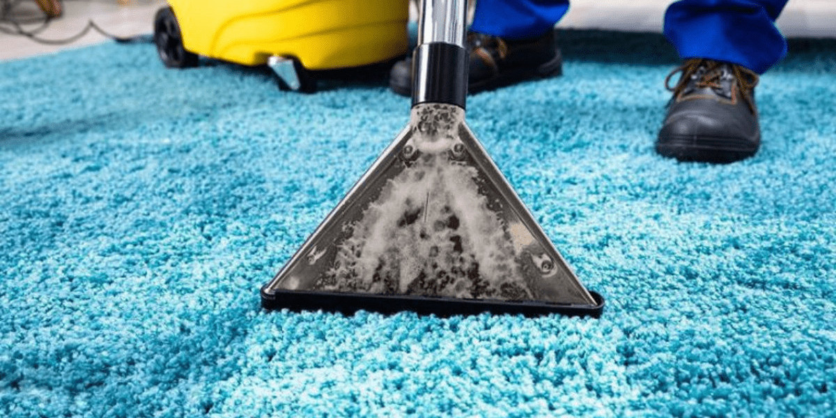 Eliminate Allergens: Why Pet Owners Should Invest in Professional Carpet Cleaning