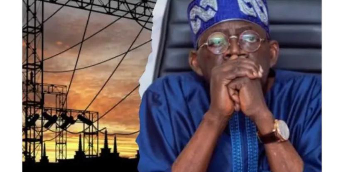 Labour Party Urges Government to Reconsider Electricity Tariff Hike