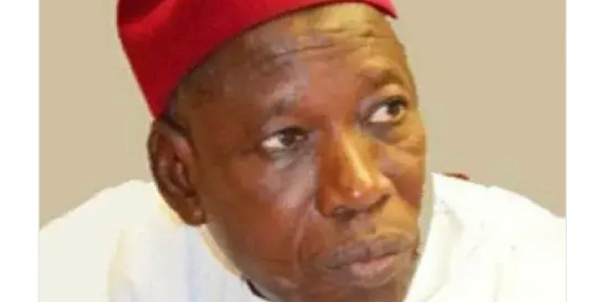 APC NWC Dismisses Court Order on Ganduje's Suspension as Party Affirms Support