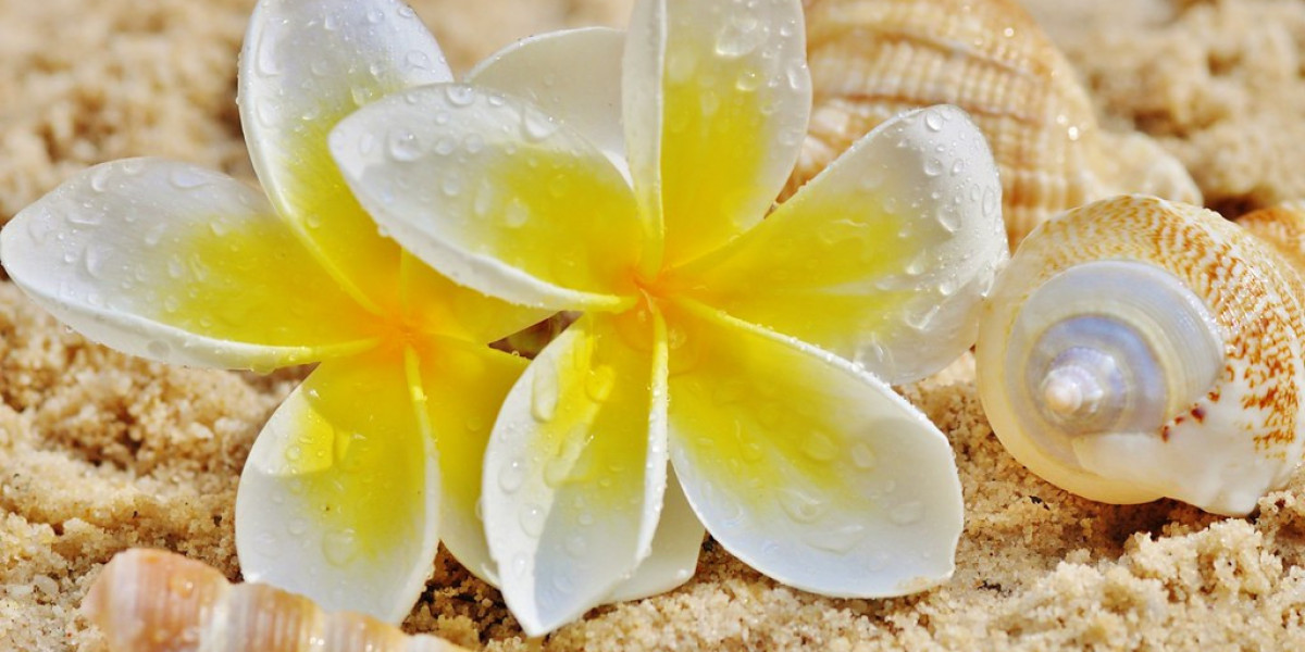 Fragrant Growth: The Rising Demand for Frangipani Extracts