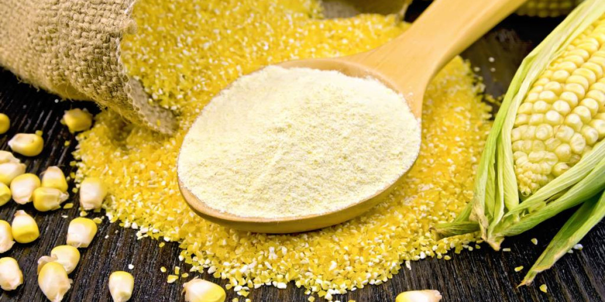 Cultural Diversity Spurs Demand for Precooked Corn Flour Products