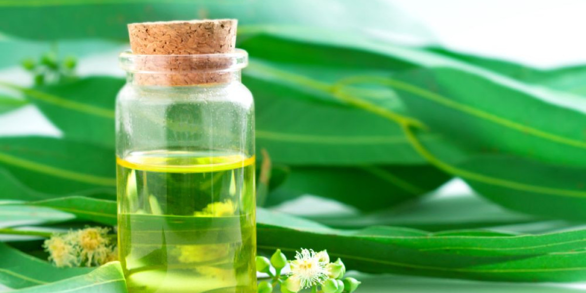Top Producers of Eucalyptus Oil: A Global Perspective