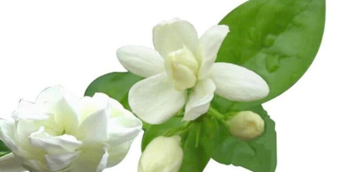 Jasmine Extract Market Analysis: Growth Drivers and Key Challenges