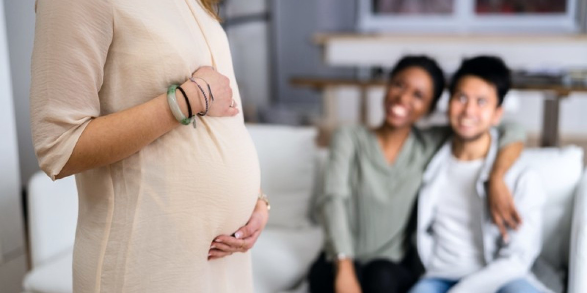 Surrogacy Market Share, Industry Trends, Report and Forecast 2024-2032