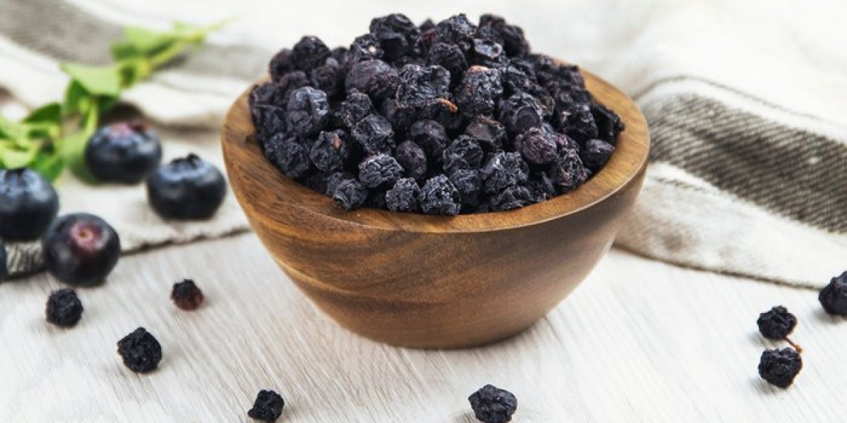 Healthier Snacking: The Rise of Dried Blueberries in Consumer Preferences