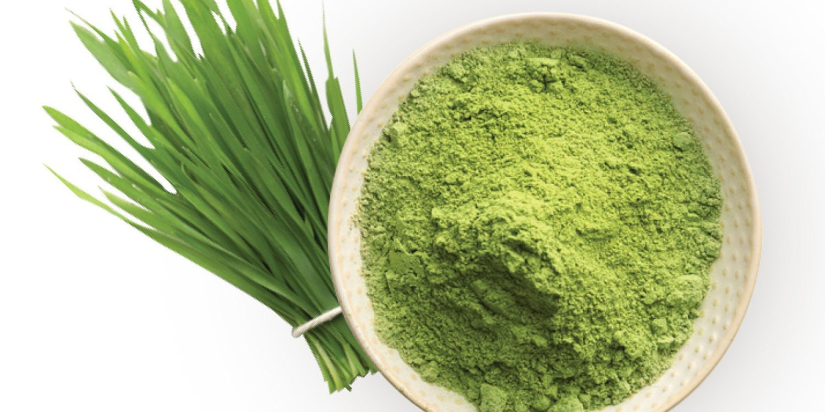 Report on Wheatgrass Powder Manufacturing Plant Setup with Cost Analysis and Requirements