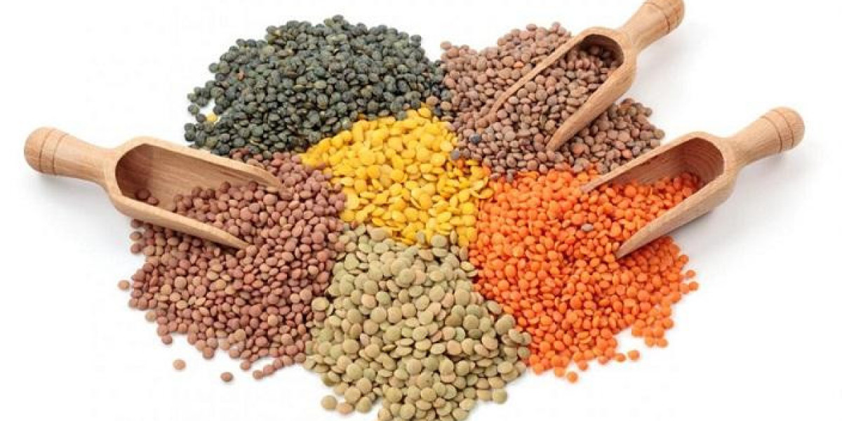 Exploring the Growth of the Global Lentil Protein Market
