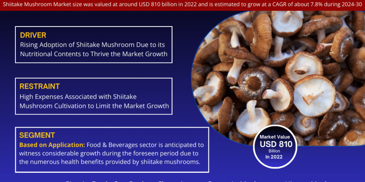 Shiitake Mushroom Market Know the Untapped Revenue Growth Opportunities