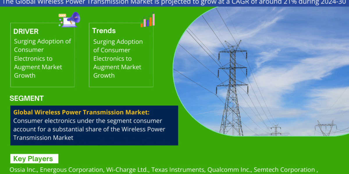 Wireless Power Transmission Market Report 2024-30: Analysis of Market Size, CAGR, Profitable Segments, and Leading Regio