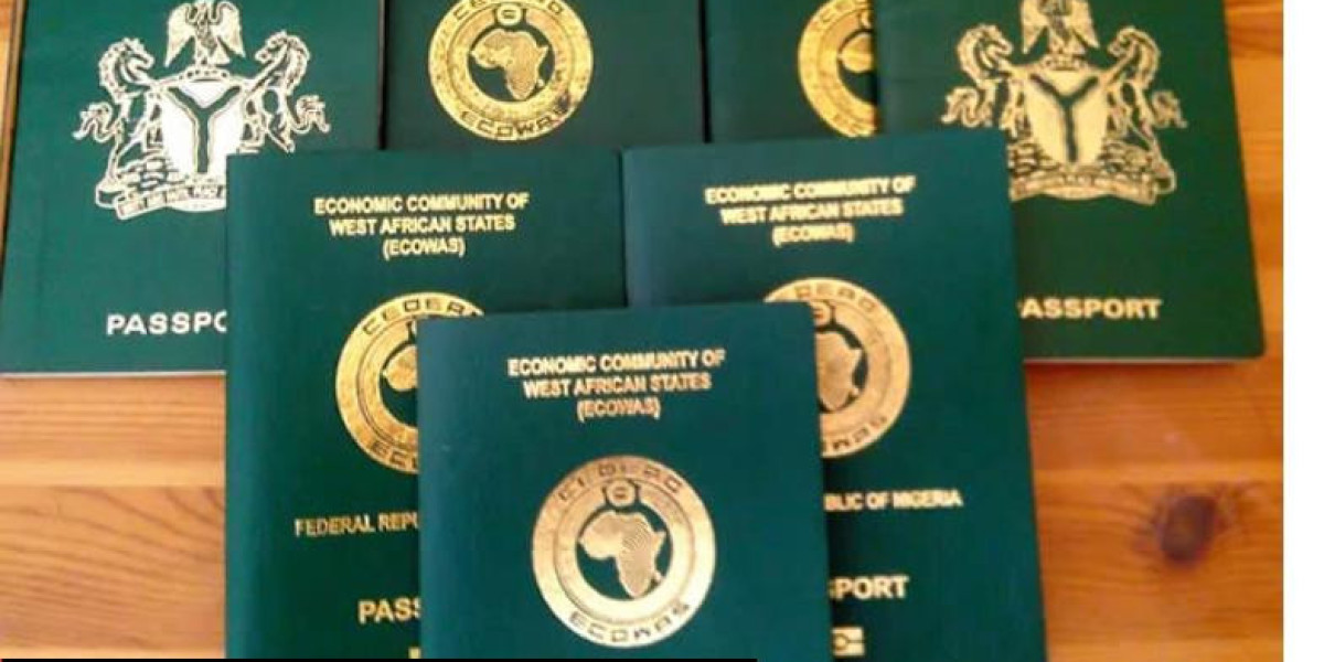Nigeria Expands Passport Services: Home Delivery and Visa Automation on the Horizon