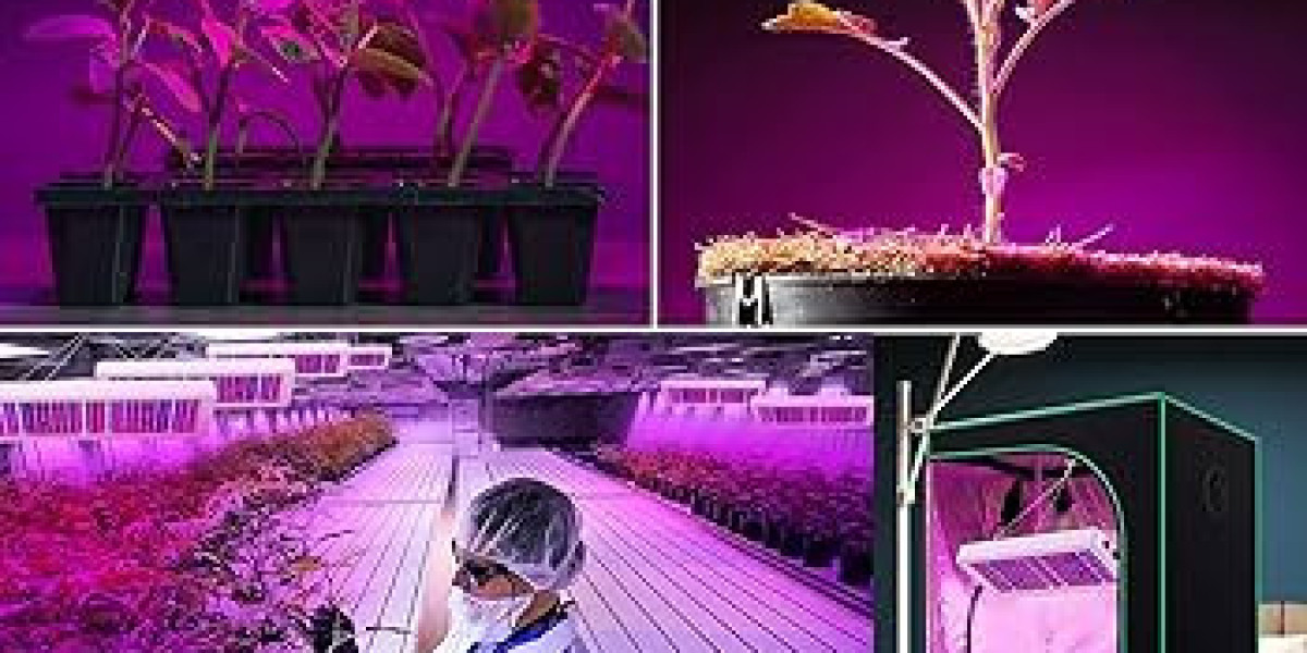 LED Grow Light Market : Growth Analysis, Emerging Technologies and Trends by Forecast to 2030