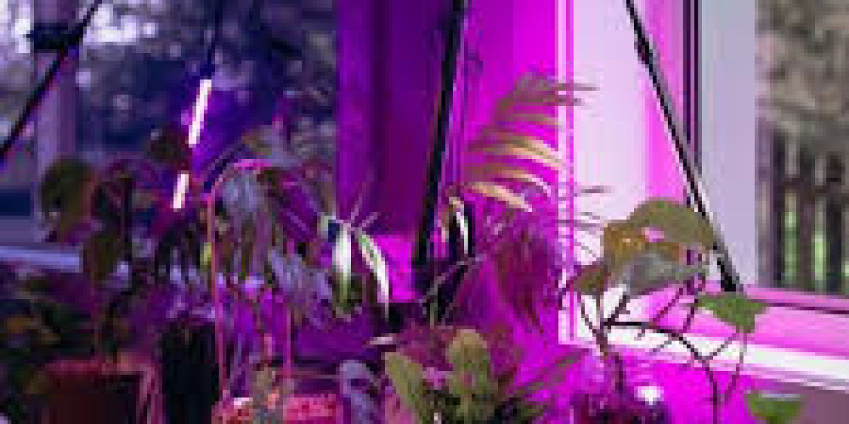 Grow Lights Market : Business Opportunities, Latest Innovations, Top Players and Forecast by 2032
