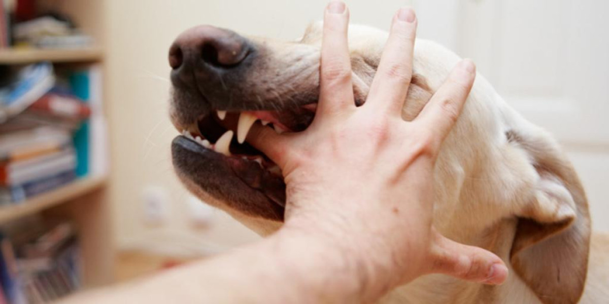 A Comprehensive Guide to Lone Worker Dog Bite Incidents