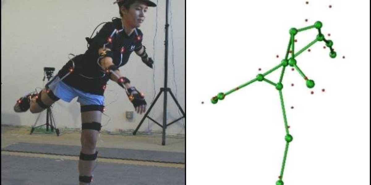 3D Motion Capture Market Share, Industry Growth, Research Report 2024-2032