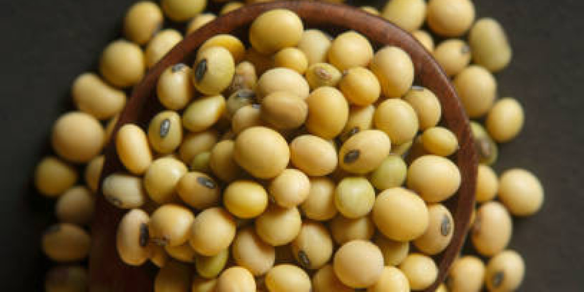 Germany Organic Soybean Key Market Players Analysis by Statistics, and Forecast 2030