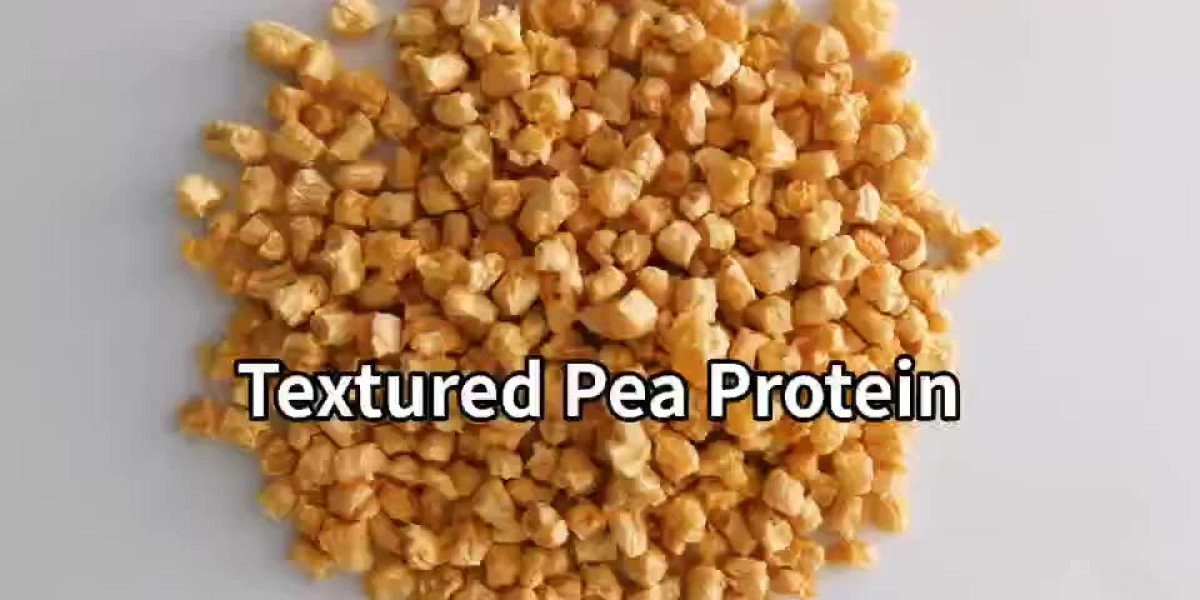 Unveiling Opportunities: Textured Pea Protein Market Analysis