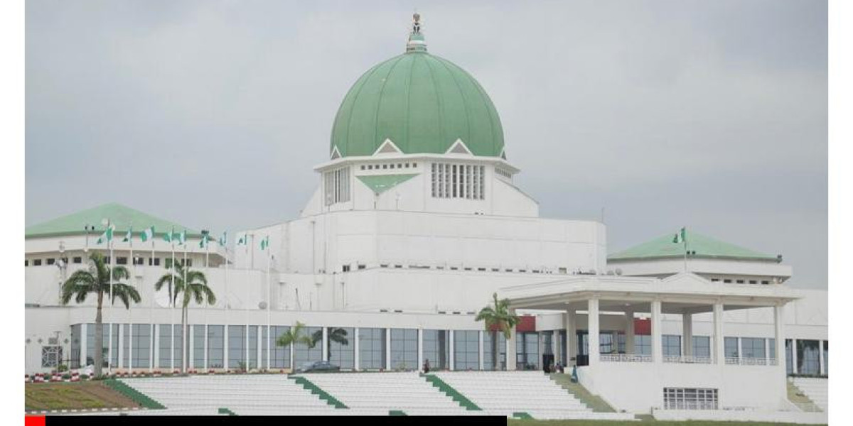 Chaos Erupts at National Assembly: DSS Operatives Clash with Staff Members