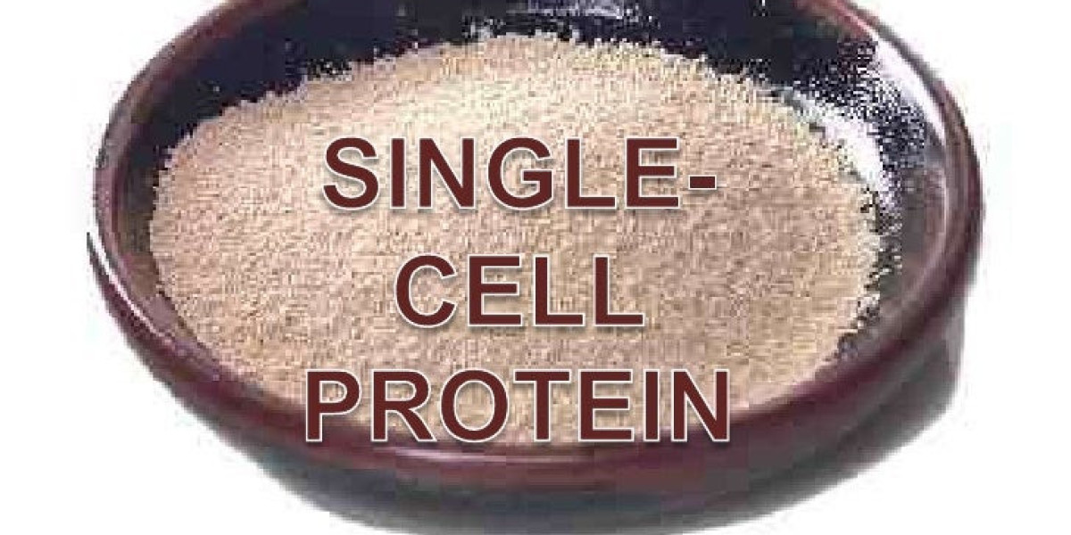 Revolutionizing Nutrition: The Single Cell Protein Market in ASEAN