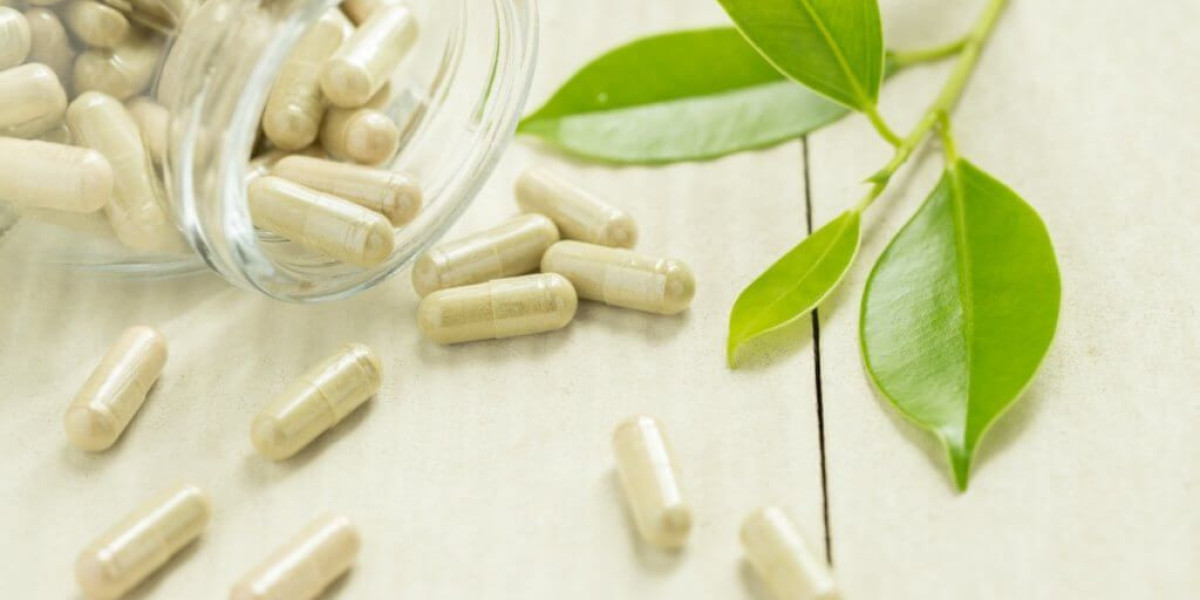 Powering Up: Trends Shaping the Energy Supplements Market