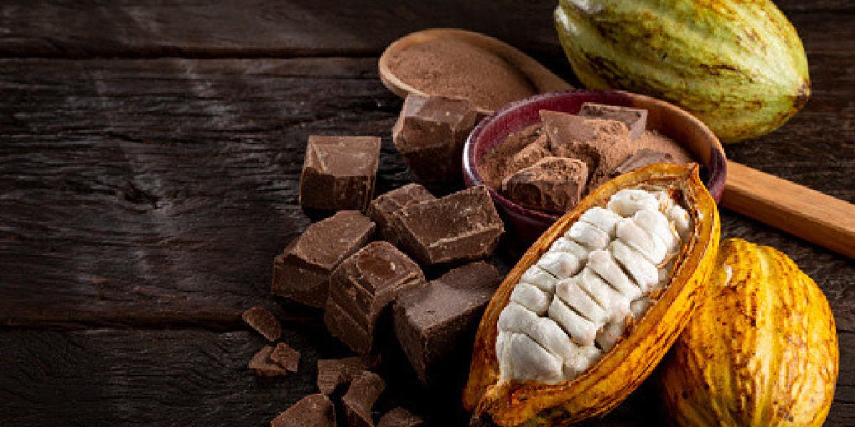 North America Cocoa Chocolate Key Market Players by Regional Growth, and Forecast to 2030