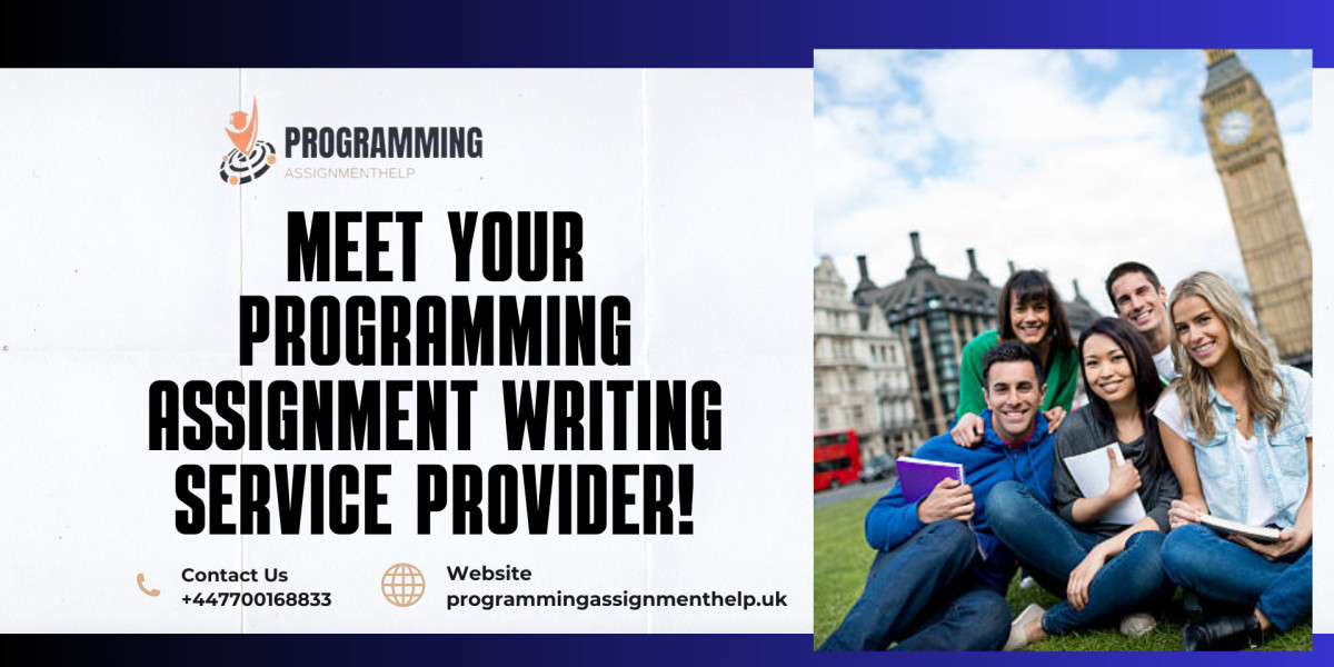 Meet Your Programming Assignment Writing Service Provider!