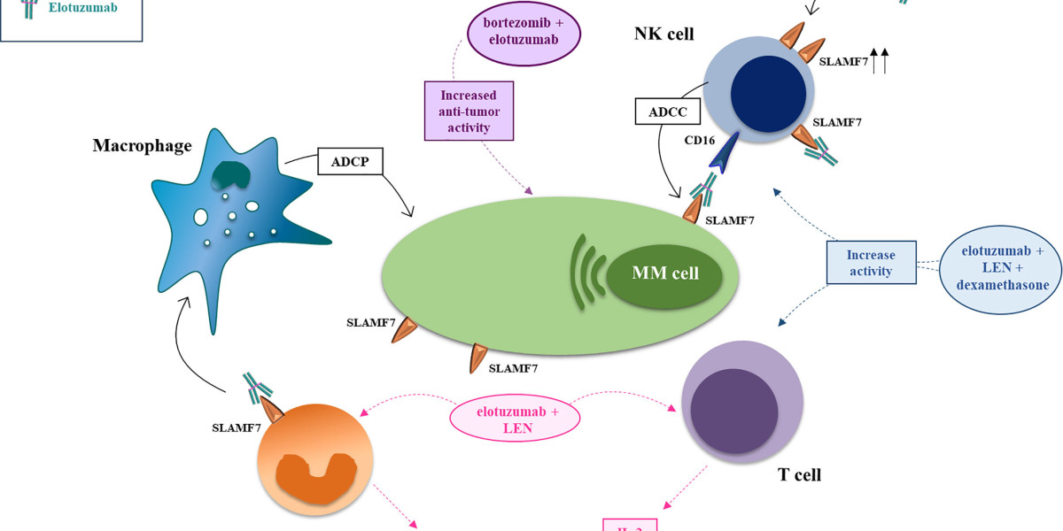 Elotuzumab Market Scenario, Growth and trends Report 2034