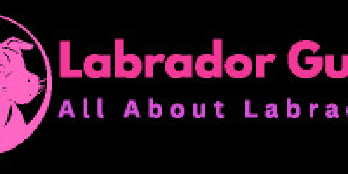 Labrador average lifespan