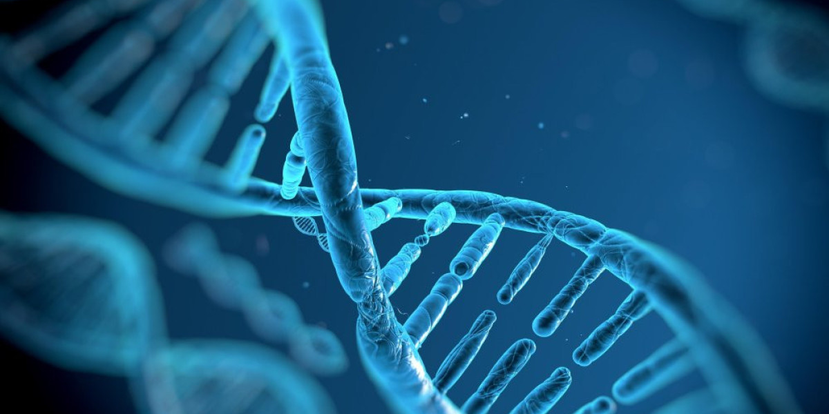 The Rising Plasmid DNA Manufacturing Market Driven by Growing Cell and Gene Therapies