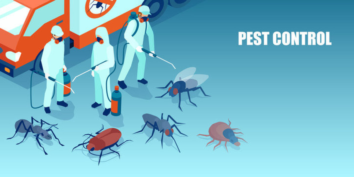 Effective Ant and Bug Pest Control: Trust Hartz Pest Control for a Pest-Free Home