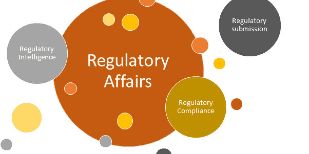 Mastering Regulatory Affairs: Course Curriculum and Key Skills Revealed