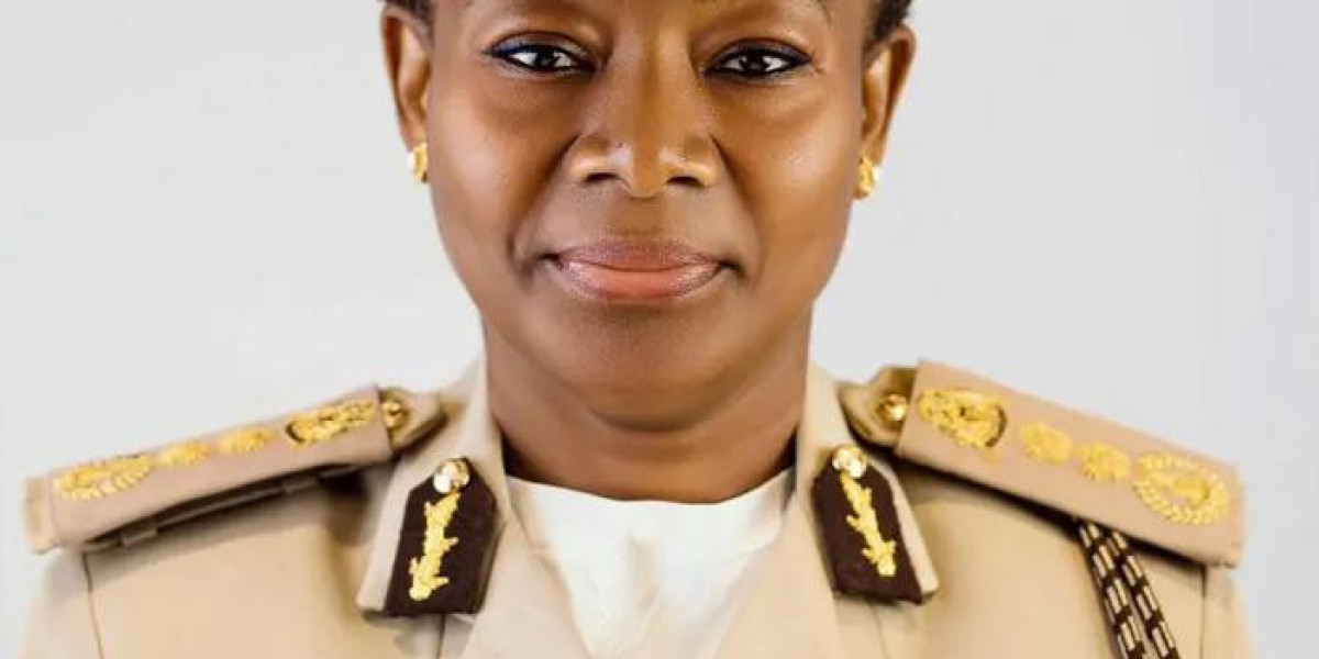 Nigeria Immigration Service Boosts Border Security with E-Border Solution