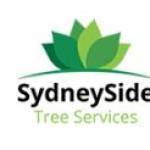 sydneysidetree