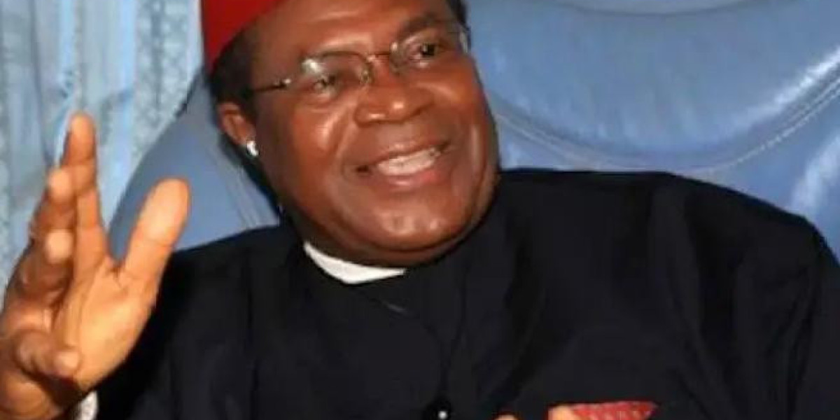 Former PDP Chairman Nwodo Urges Party to Embrace Internal Democracy Ahead of 2027 Elections