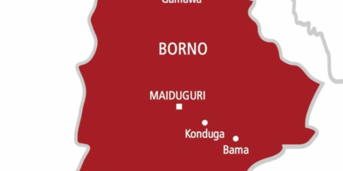 Acting Governor of Borno State Condemns Suicide Bomb Attacks in Gwoza, Vows to Continue Anti-Insurgency Efforts