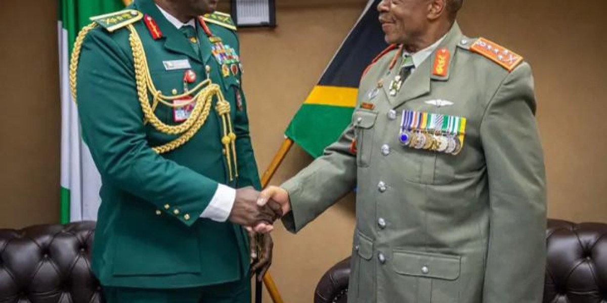 Nigeria and South Africa Strengthen Military Ties to Address African Security Challenges
