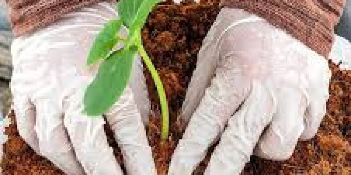 Global Coco Coir Market Report 2023 to 2032