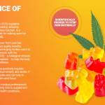 Tetra Bliss CBD Gummies