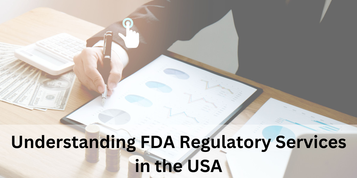 Understanding FDA Regulatory Services in the USA