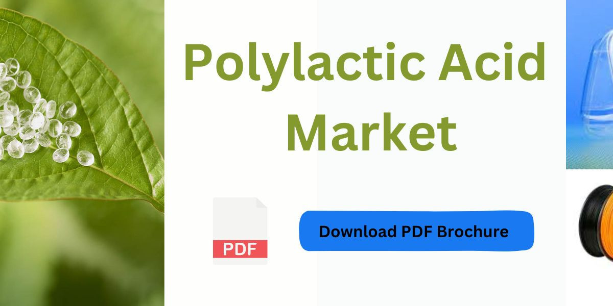 Emerging Trends in Polylactic Acid (PLA): Biodegradable Solutions for a Greener Tomorrow