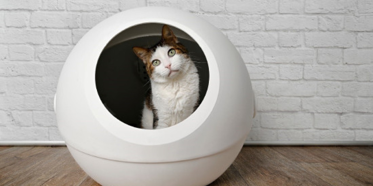 Cat Litter Box Market | Global Industry Growth, Trends, and Forecast 2023 - 2032